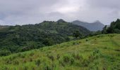 Excursión Senderismo Le Morne-Rouge - Le Morne-Rouge  -  Le  Carbet par Col Yang Ting - Photo 4