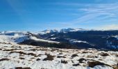 Randonnée Raquettes à neige Murat-le-Quaire - la Banne par le tenon - Photo 13