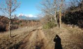 Trail Walking Venasque - venasque souveille chinardon 84 - Photo 2