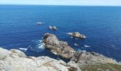Excursión Senderismo Cléden-Cap-Sizun - pointe de brezelec 2019 - Photo 10
