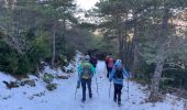 Trail Walking Trigance - Trigance : Rancoumas  - Photo 5