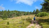 Trail Walking Orbey - Circuit des 2 lacs : lac du Forlet et lac Vert - Photo 7