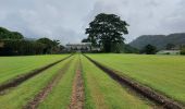 Tour Wandern Saint-Pierre - Boucle CDST via distillerie La Montagne - Photo 2