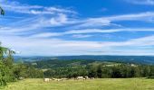 Excursión Bici de montaña Cubières - TOUR MONT LOZERE - Photo 3