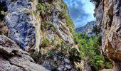 Trail Walking Estoublon - Gorges de Trévans - Photo 13