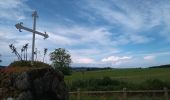 Tocht Stappen Marlhes - petit tour depuis l'airellier du pilat - Photo 6