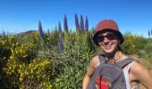 Tocht Stappen Curral das Freiras - Pico do Areeiro - Photo 19