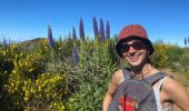 Trail Walking Nuns Valley - Pico do Areeiro - Photo 19