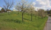 Tour Zu Fuß Künzell-Bachrain - Dietershausen Nordic Walking 3 - Photo 9