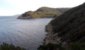 Tocht Stappen Hyères - Port-Cros  - Photo 2