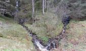Percorso Marcia Theys - PINCERIE EN BOUCLE DEPUIS PIPAY - Photo 2