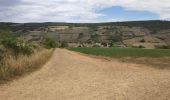 Tour Wandern Boudes - Boudes-la vallée des saints - Photo 2