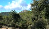 Trail Walking Le Val - le cuit le val - Photo 6