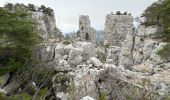 Tour Wandern Castellane - La Colle : Cadières de Brandis - Photo 17
