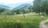 Tour Wandern Linthal - Linthal boucle par col de lauchen - Photo 3