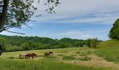 Trail Walking Dison - 4821 Andrimont (Verviers) 15Km marche adeps du 15/05/2022 - Photo 8