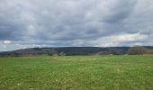 Tour Wandern La Roche-en-Ardenne - rando samrée 19-03-2024 - Photo 4