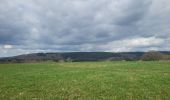 Trail Walking La Roche-en-Ardenne - rando samrée 19-03-2024 - Photo 4