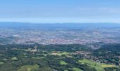 Tocht Stappen Ceyssat - Puy-de-Dôme, Petit Suchet et Grand Suchet - Photo 3