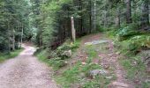 Randonnée Marche Lavoine - Les sources de la Besbre - Photo 2