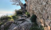 Tocht Stappen Saint-Mandrier-sur-Mer - Le littoral de St Mandrier-21-01-21 - Photo 3