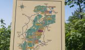 Tour Wandern Villers-sous-Chalamont - Route des sapins Montorge - Photo 10