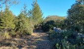 Trail Walking Aniane - grotte des reliques, montcalmes - Photo 10