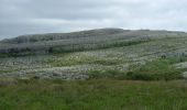 Tour Zu Fuß West Clare Municipal District - Mullaghmore loop red - Photo 1