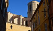 Tour Wandern Les Arcs-sur-Argens - Chemin de Compostelle de Abbaye Celle Roubaud à Lorgues par Ermitage St Ferréol - Photo 3