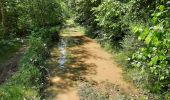 Trail Walking Clavier - Pailhe  - Photo 2