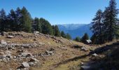 Trail Walking Embrun - Mt Guillaume - Lac de l'Hivernet - Photo 12