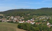 Tour Zu Fuß Abtsteinach - Rundwanderweg Abtsteinach 1: Panoramaweg Abtsteinach - Photo 7