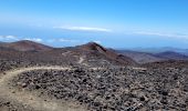 Randonnée Marche Guía de Isora - Pico Viero Sur - Photo 1