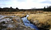 Tour Zu Fuß Unknown - Bølling Sø rundt - Photo 7