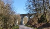 Tour Wandern Darney - Darney : Vers le pont Tatal  - Photo 6