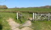 Tocht Stappen Heuvelland - Kemmel 16,8 km - Photo 6