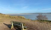 Randonnée Marche Le Touquet-Paris-Plage - Le Touquet : promenade de la Canche, par la mer - Photo 2