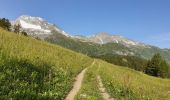Trail Walking Sainte-Foy-Tarentaise - Chenal Monal Clou Fenil (boucle) - Photo 1