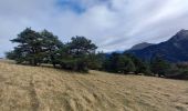 Tour Wandern Lalley - Col du Salut via la bergerie du Jocou - Photo 2