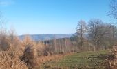 Trail Walking Stoumont - lorcé  . suf la lienne  . Chevron . lorcé  - Photo 16