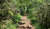 Trail Walking Porte des Pierres Dorées - Jarnioux / 2020-06-22 / 10 km - Photo 14