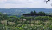 Tocht Stappen Durbuy - Bomal sur Ourthe 170625 - Photo 19