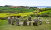 Trail On foot West Cork - Walk 1 - Drombeg Standing Stone Circle (7 - 9 km) - Photo 10