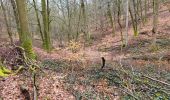 Tour Wandern Bouillon - Rochehaut 190323 - Photo 5