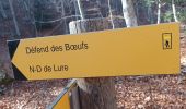 Trail Walking Cruis - CRUIS . JAS ROCHE . NOTRE DAME DE LURE . O.  L M S - Photo 5