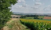 Randonnée Marche Nailly - Nailly 230716 - Photo 3