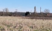 Trail Walking Candé-sur-Beuvron - cande sur beuvron - Photo 5
