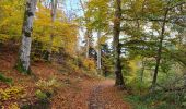 Tour Wandern La Bourboule - Bourboule-puy-st-roch-retour-Bourboule - Photo 1