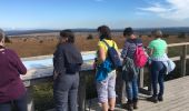 Tocht Stappen Malmedy - Balade Fagnes guidée - Photo 9