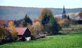 Randonnée A pied Südharz - Wanderweg von Dietersdorf in's Haseltal - Photo 10